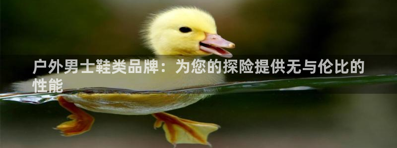 bsports必一