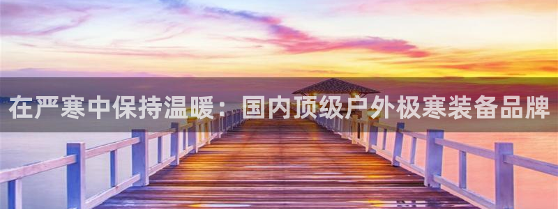 必一体育官方网站入口