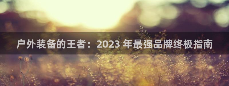 必一体育官方网站入口