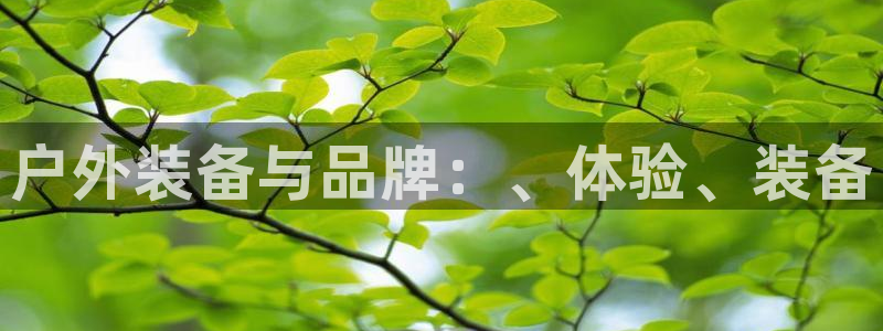 必一体育官方网站入口