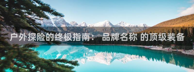 Bsports网页版APP