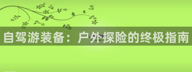 Bsports手机版下载