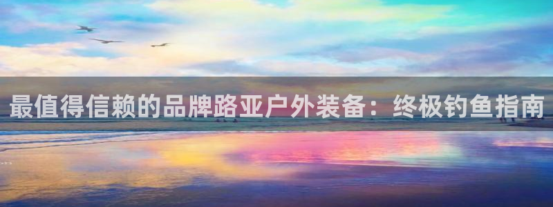 Bsports官网